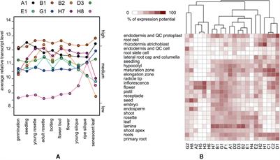 Redundant and Diversified Roles Among Selected Arabidopsis thaliana EXO70 Paralogs During Biotic Stress Responses